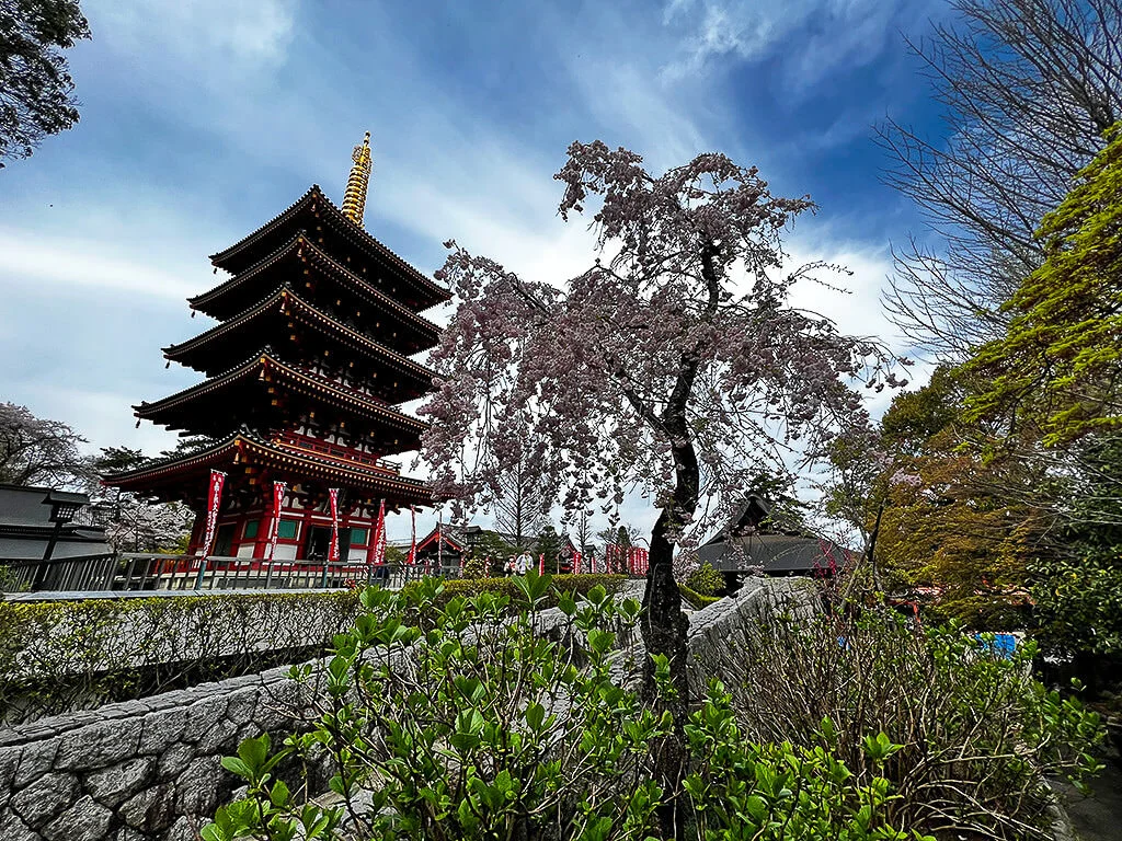 Tama Hills Nature Park