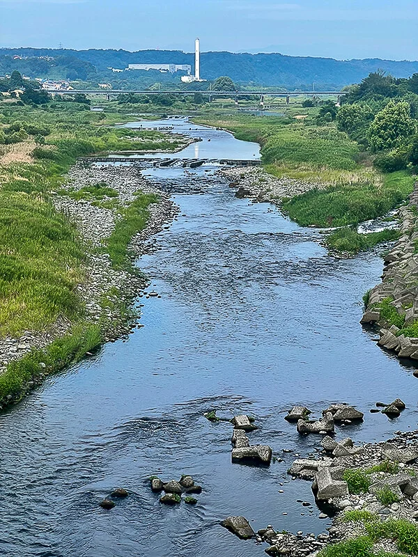Tamagawa
