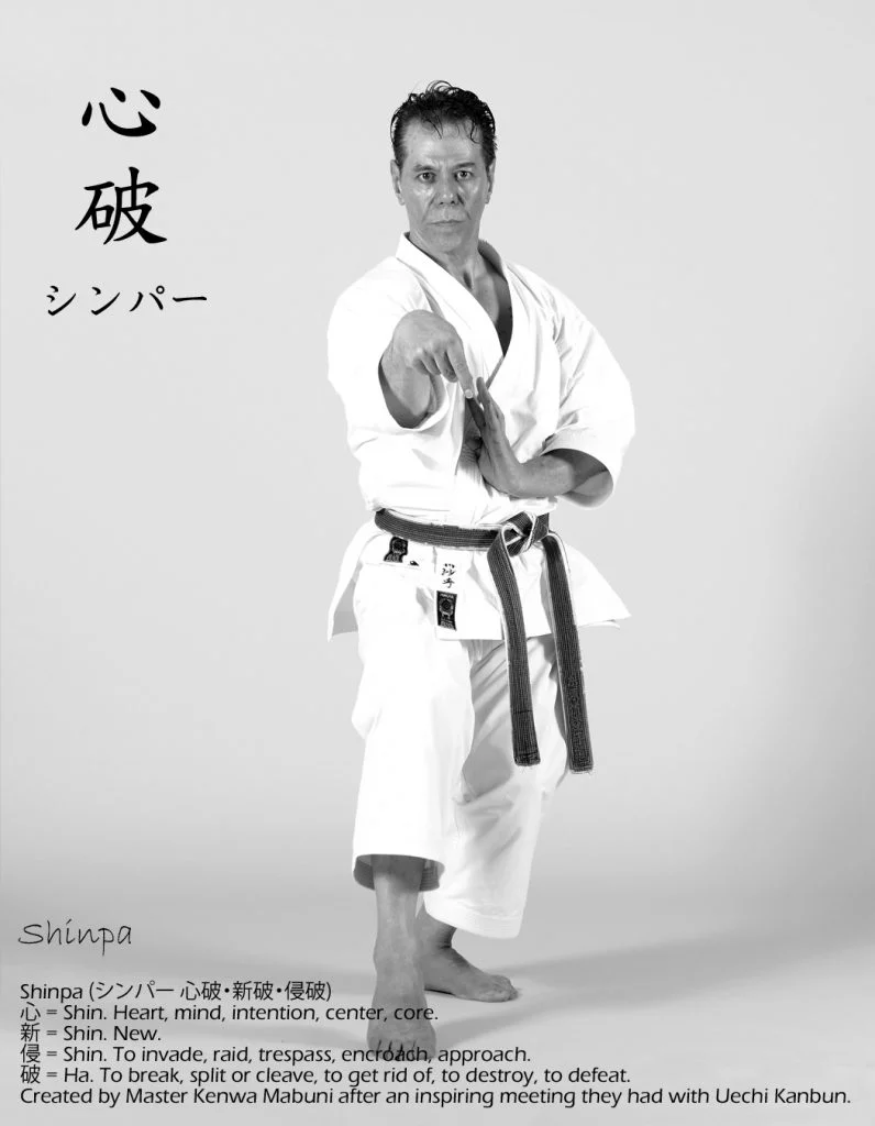 Tanzadeh-Sensei-performing-Shinpa-Kata-796x1024.jpg