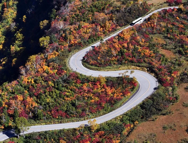 Tateyama autumn foliage