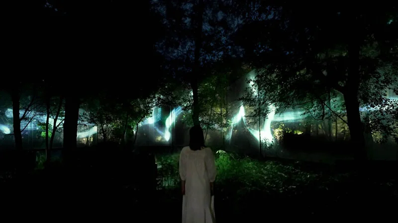 Spatial Calligraphy in the Forest - One Stroke, Secondary Forest
