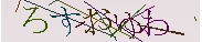 test.webp