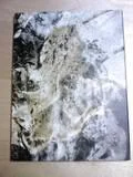 th_disc2back-1.webp