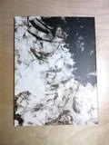 th_disc3back-1.webp