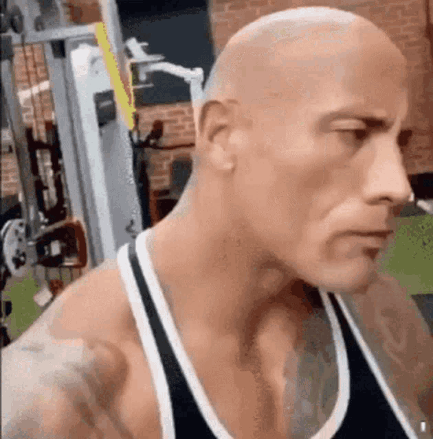 the-rock.gif