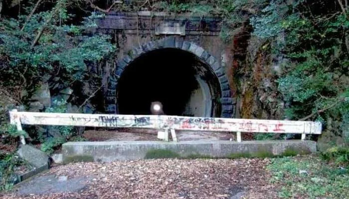 The-Whispering-Inukane-Pass-Tunnel-at-Fukuoka.webp