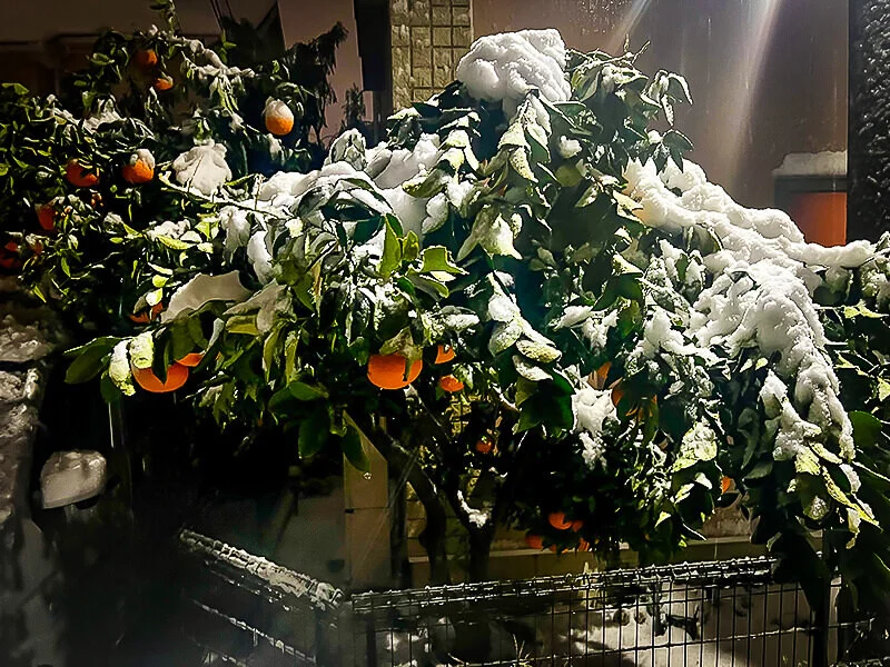 thundersnow.jpg