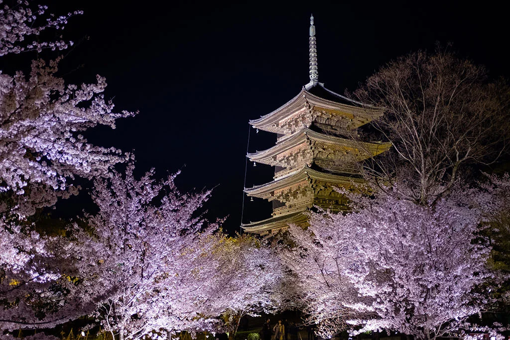 toji-temple.webp