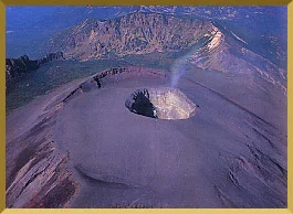 top_0-1.webp