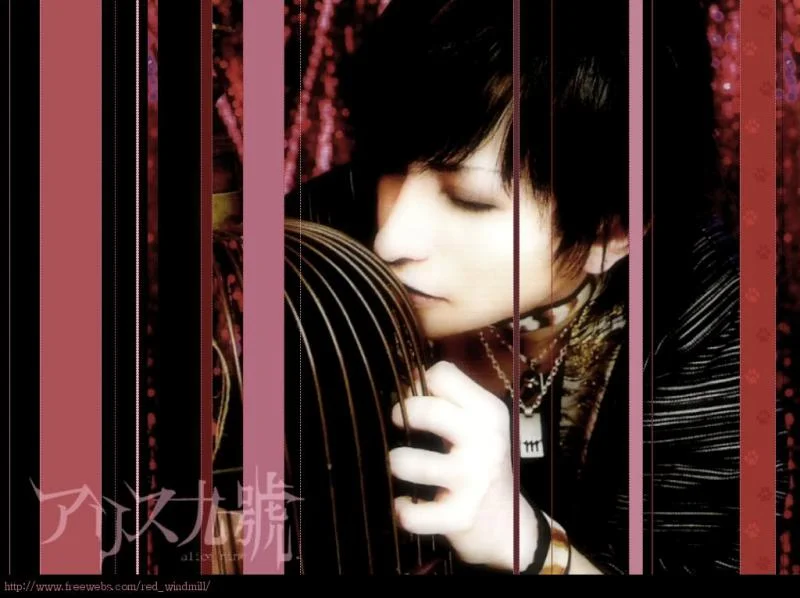 tora2-1.webp