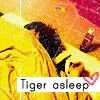 Tora_ava6gif-1.webp