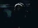 Torafeathers2gif-1.webp