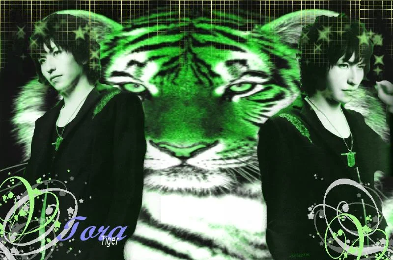 torawallpaper2iq3png-1.webp