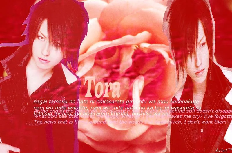 torawallpapertoradj1png-1.webp