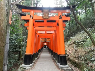 torii.jpg