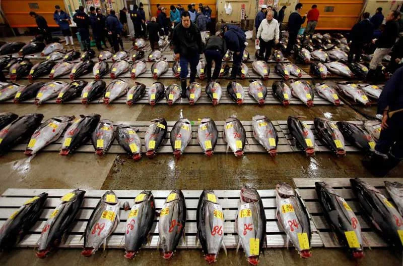 tsukiji-relocation.webp