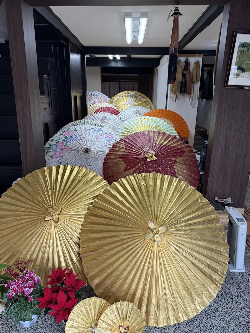 umbrellas.webp