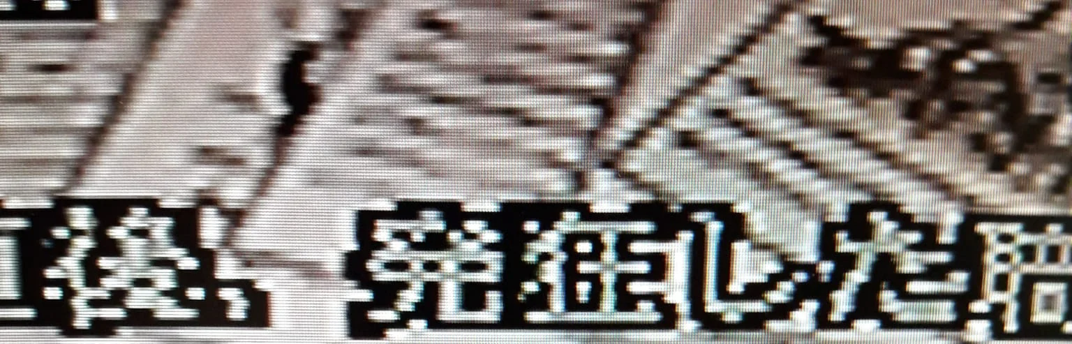 unknow kanjis.jpeg