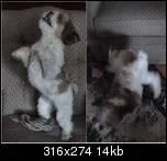 updown1ikth-1.webp