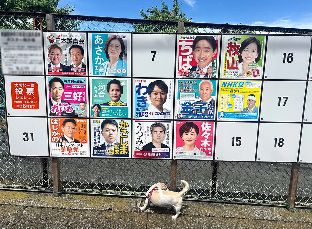 upper-house-election-2025.webp