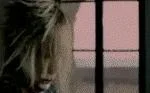 uru1gif-1.webp