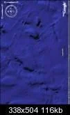 venuswolines777cccou8thgif-1.webp
