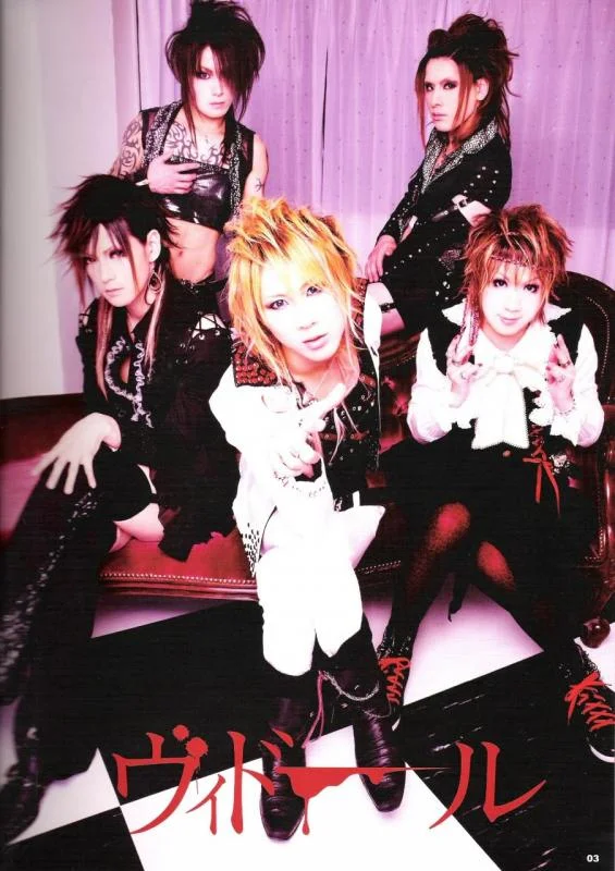 vidoll30-1.webp