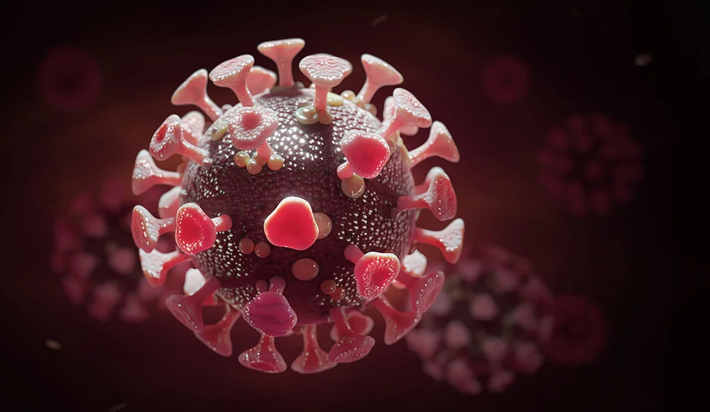 virus_pczz.webp