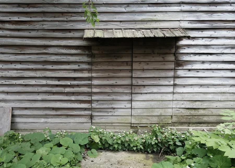 wall:door.webp