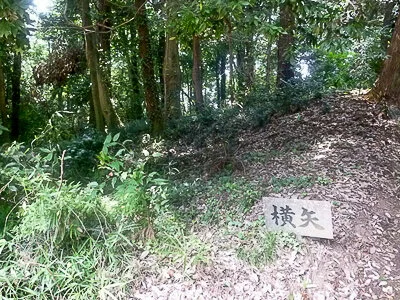 Washi Castle (鷲城)
