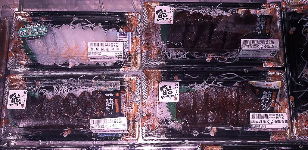 whale-sashimi.webp