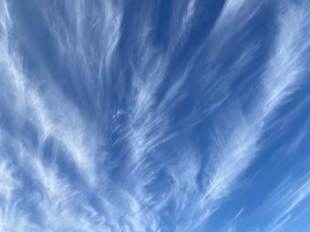 white on blue.webp