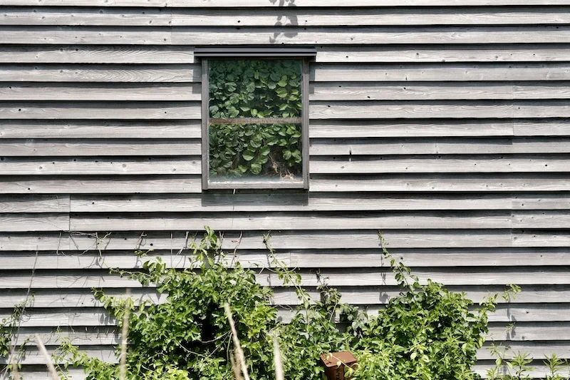 window.webp
