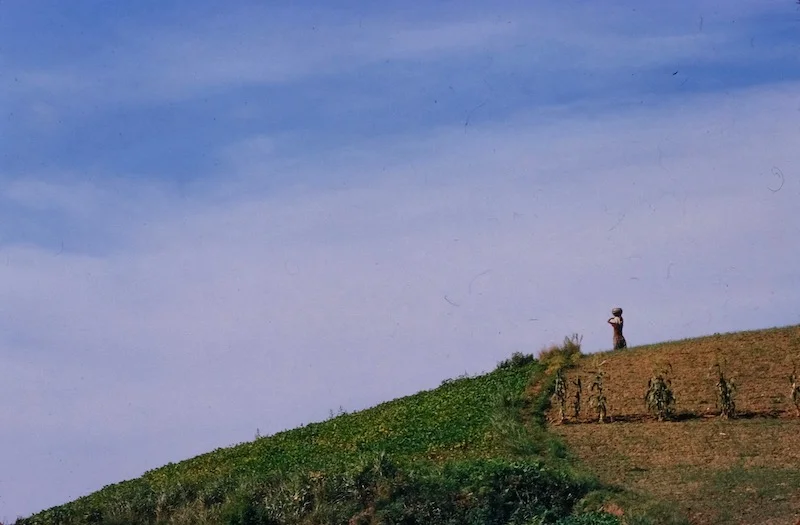 woman-sky.webp