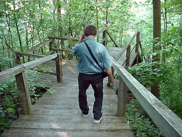 woodlandstairs-1.webp