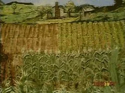 wronggif-1.webp