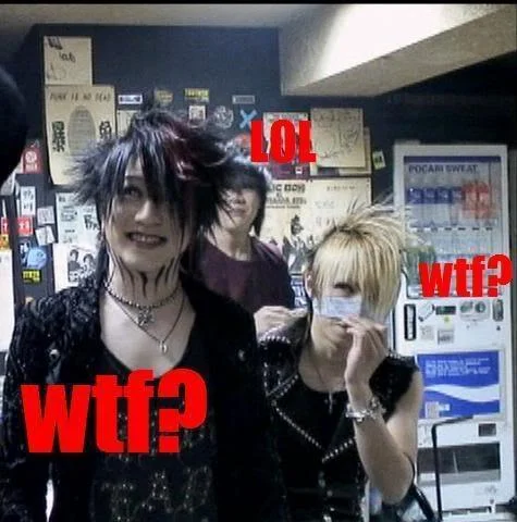 wtfwtflol-1.webp