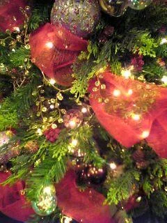 xmastree-1.webp