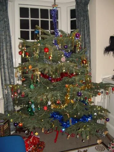 xmastree2005light-1.webp