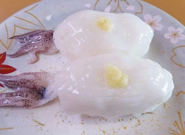 槍烏賊