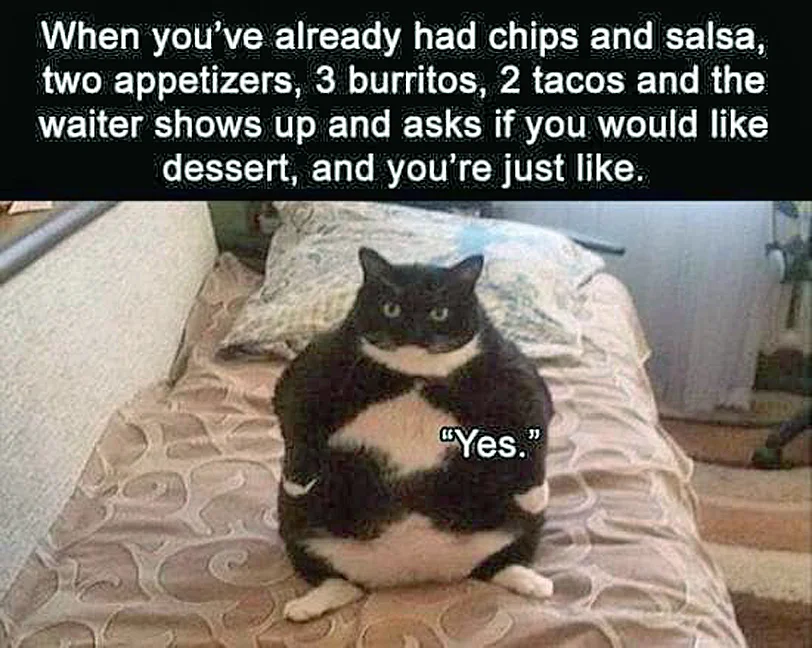 28351