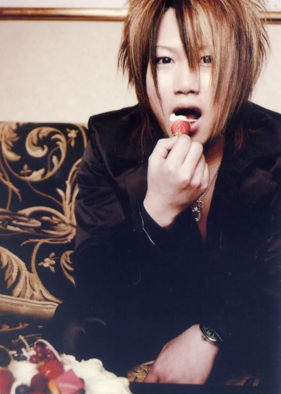 YOMIbarksplusshoot-1.webp