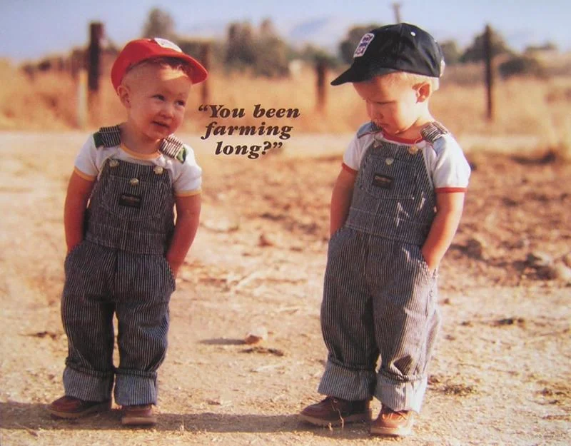 youbeenfarminglong-1.webp