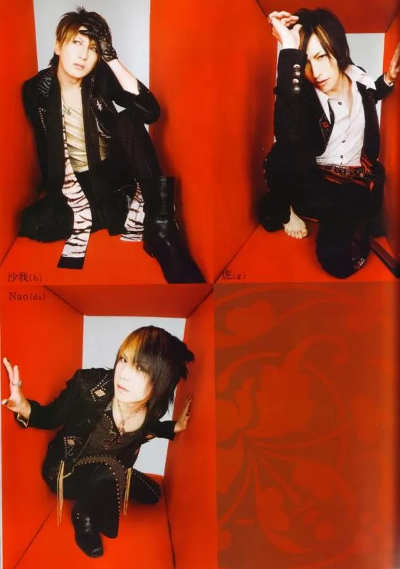 ZYmag2-1.webp