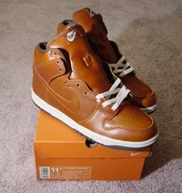 dunk115.webp