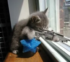 dogshooting.webp