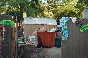 luau3.webp