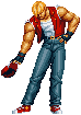 terry_cap dust away.gif