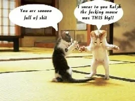 2kitty.webp