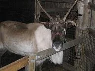 zoo 018.webp